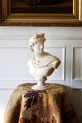 Vintage Alabaster Bust of Apollo