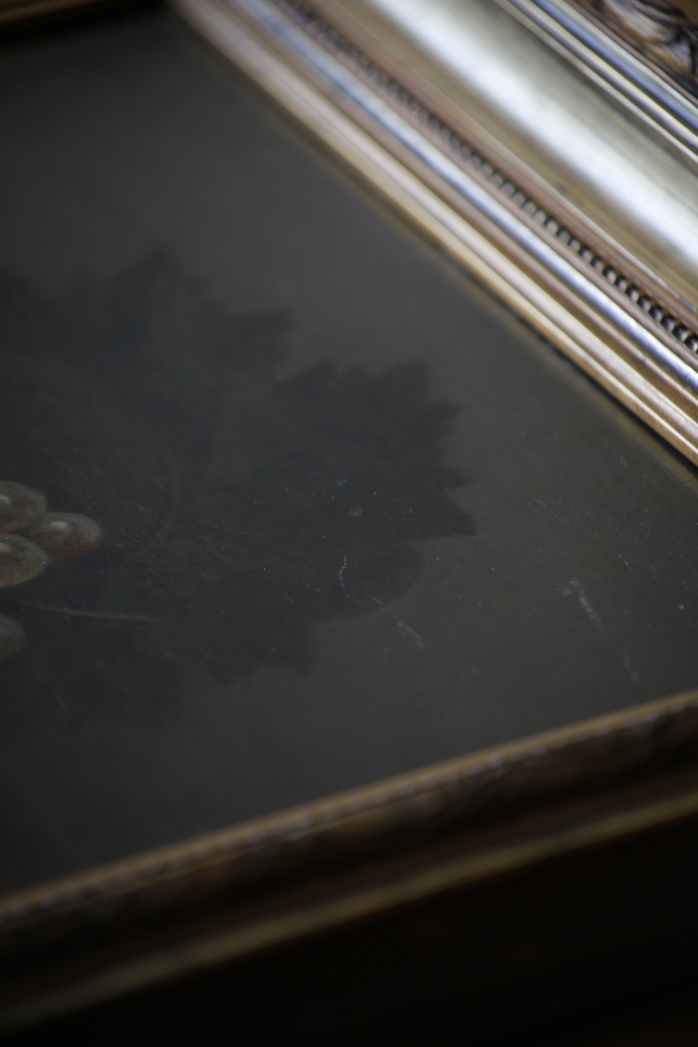 19th Century Dutch Grapes Fruit Study