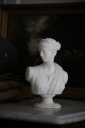 Marble Bust of Diana