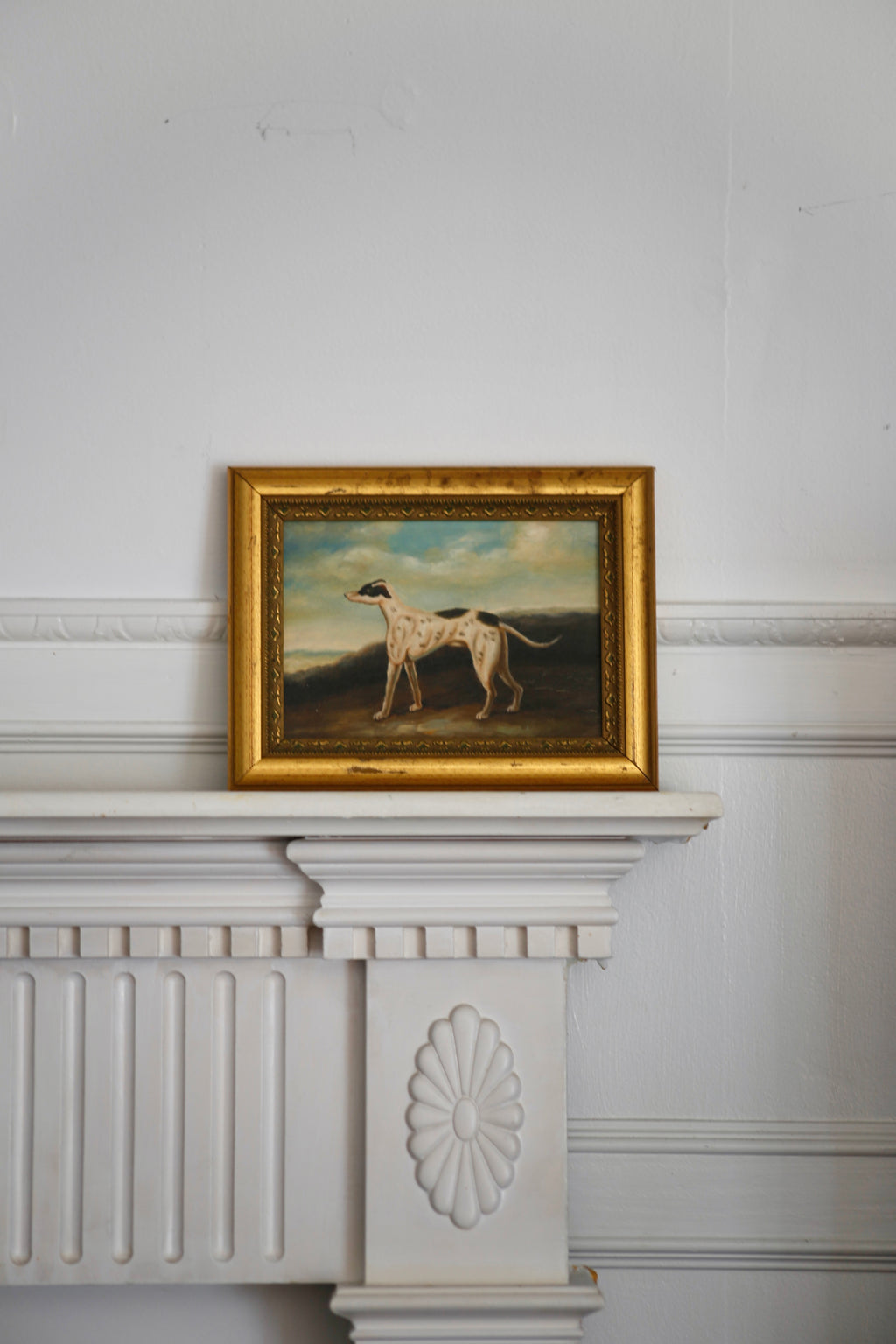 Petit Oil Portrait of Greyhound